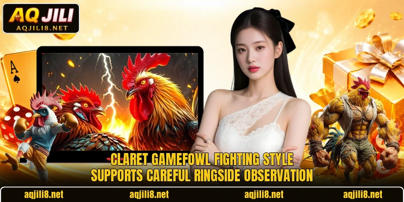 Claret gamefowl fighting style supports careful ringside observation