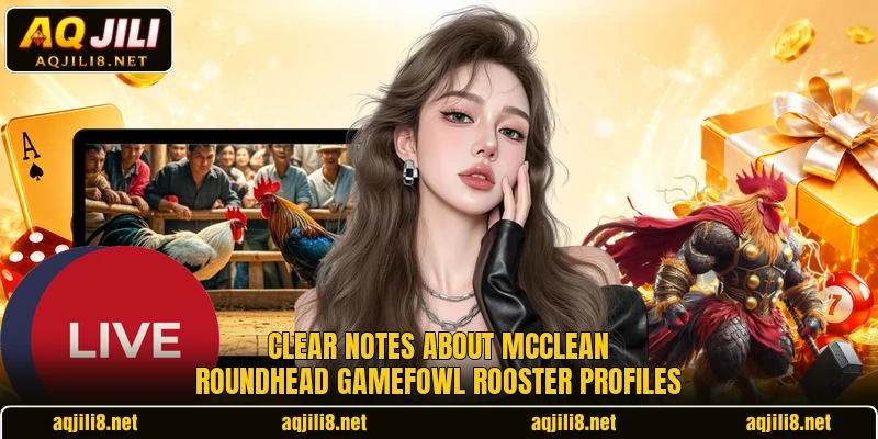 Clear notes about mcclean roundhead gamefowl rooster profiles